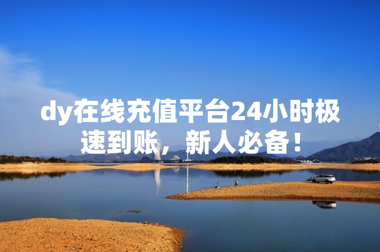 dy在线充值平台24小时极速到账，新人必备！