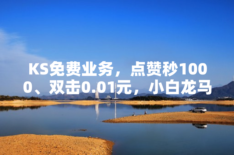 KS免费业务，点赞秒1000、双击0.01元，小白龙马山肥，大地房产装修。