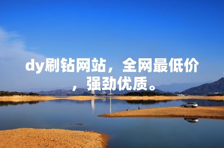 dy刷钻网站，全网最低价，强劲优质。
