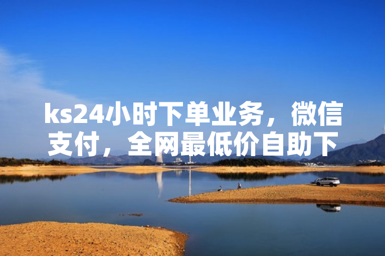 ks24小时下单业务，微信支付，全网最低价自助下单软件。