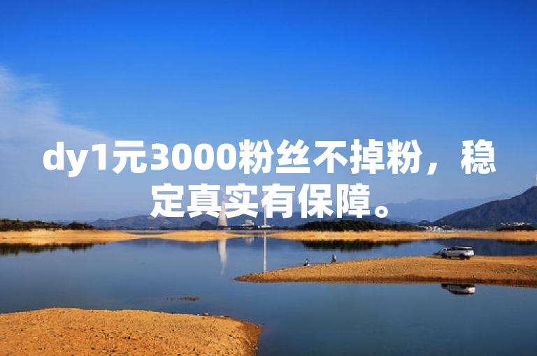 dy1元3000粉丝不掉粉，稳定真实有保障。