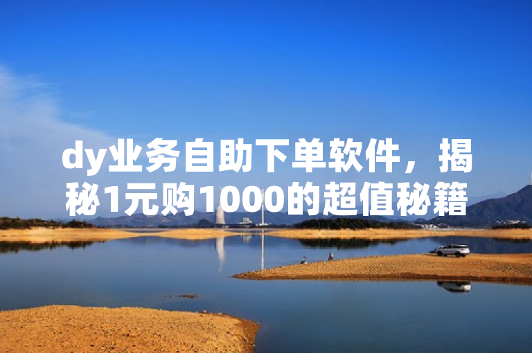 dy业务自助下单软件，揭秘1元购1000的超值秘籍！