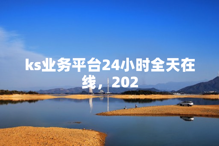 ks业务平台24小时全天在线，2025必学独家揭秘！