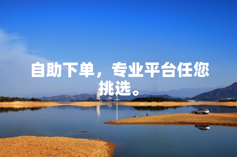 自助下单，专业平台任您挑选。