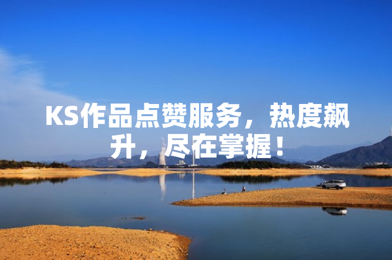 KS作品点赞服务，热度飙升，尽在掌握！