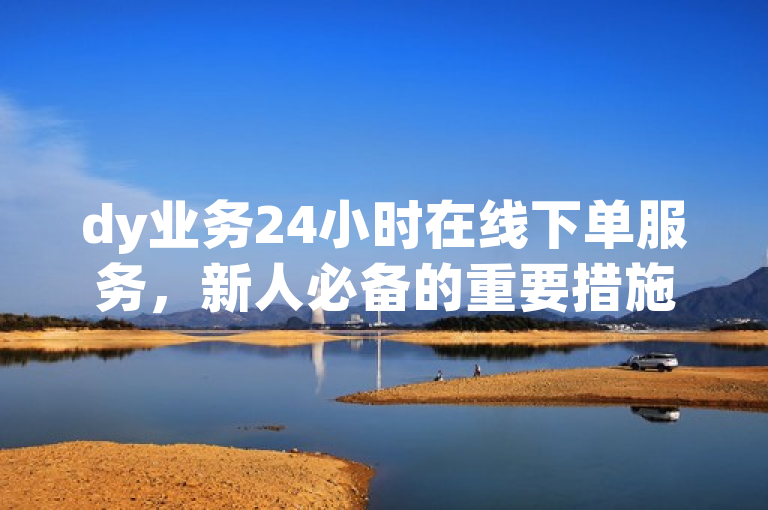 dy业务24小时在线下单服务，新人必备的重要措施！