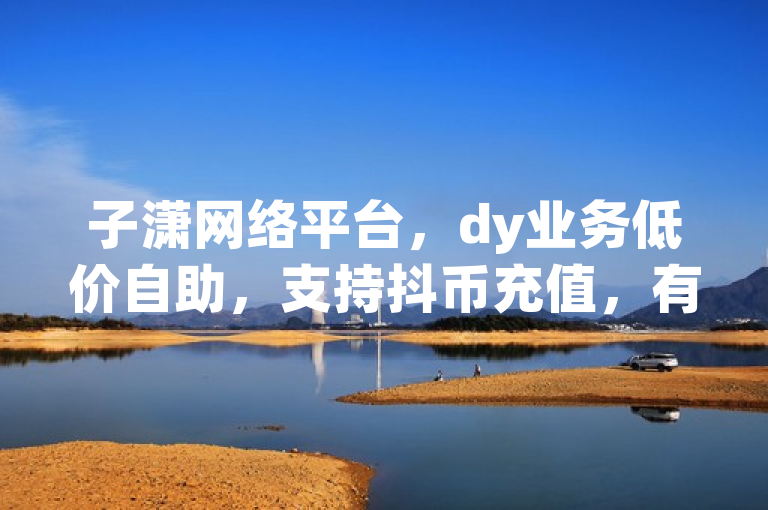 子潇网络平台，dy业务低价自助，支持抖币充值，有银行卡限额说明。