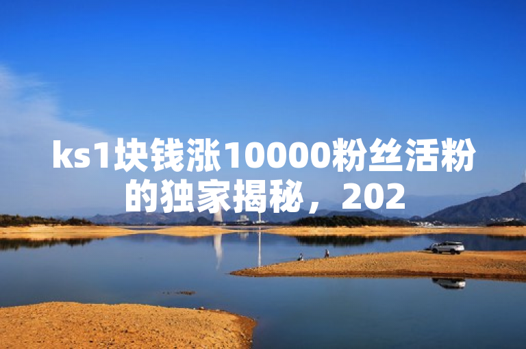 ks1块钱涨10000粉丝活粉的独家揭秘，2025必学的涨粉方法！