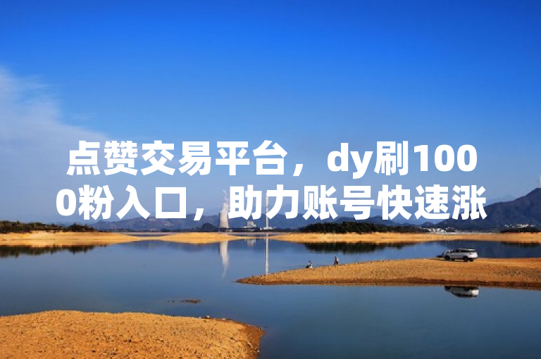 点赞交易平台，dy刷1000粉入口，助力账号快速涨粉。