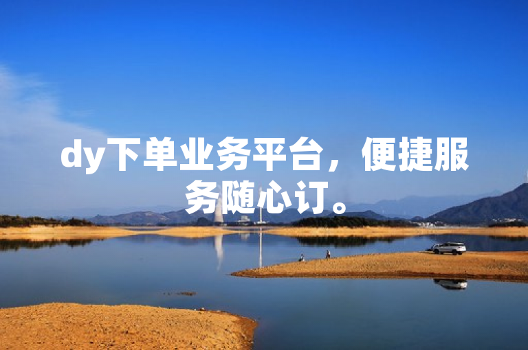 dy下单业务平台，便捷服务随心订。