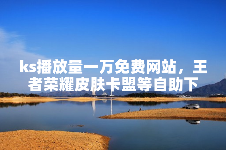 ks播放量一万免费网站，王者荣耀皮肤卡盟等自助下单软件。