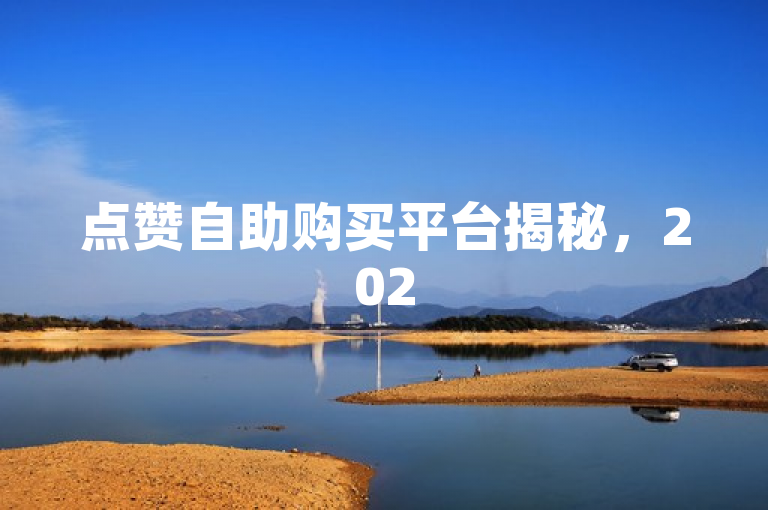点赞自助购买平台揭秘，2025必学新体验！
