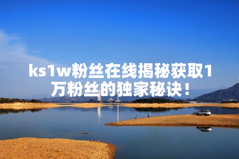 ks1w粉丝在线揭秘获取1万粉丝的独家秘诀！