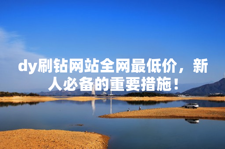 dy刷钻网站全网最低价，新人必备的重要措施！