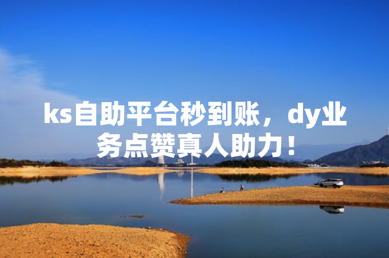 ks自助平台秒到账，dy业务点赞真人助力！