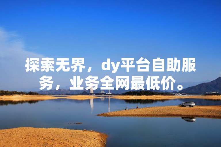 探索无界，dy平台自助服务，业务全网最低价。