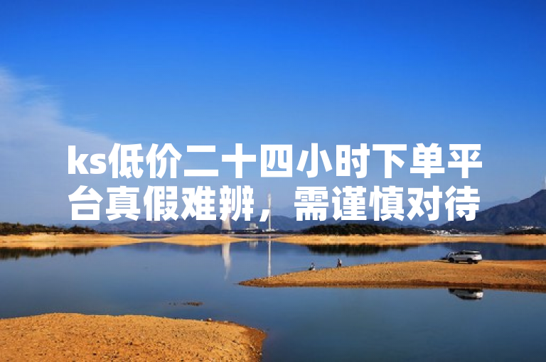 ks低价二十四小时下单平台真假难辨，需谨慎对待。