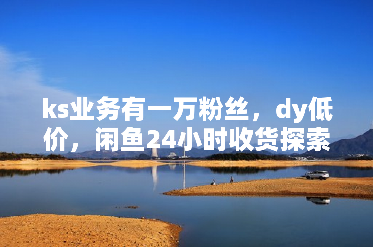 ks业务有一万粉丝，dy低价，闲鱼24小时收货探索无界。